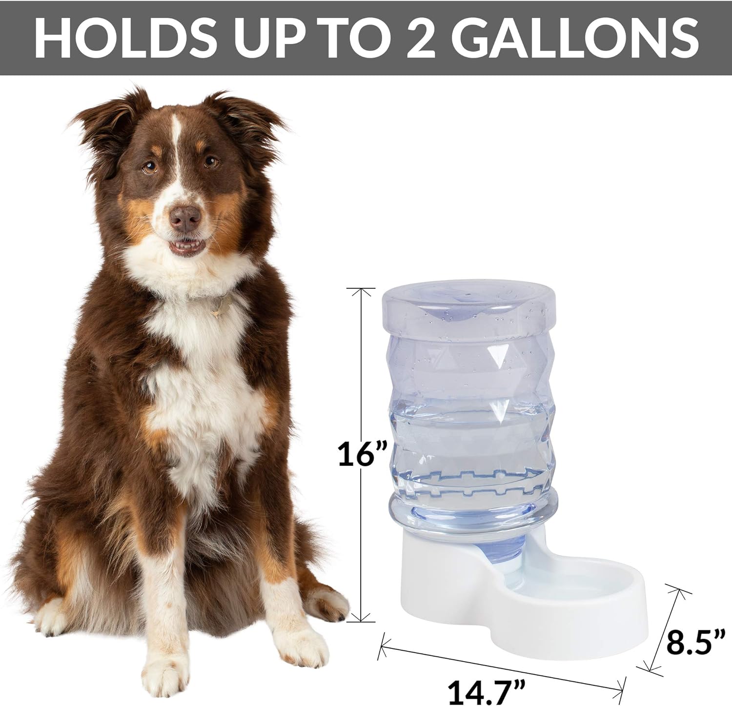 PetFusion H2O Gravity Pet Water Dispenser. Durable 2.5 Gallon Waterer Feeder. Automatic Station for Cats & Small, Medium, Large Dogs, Transparent