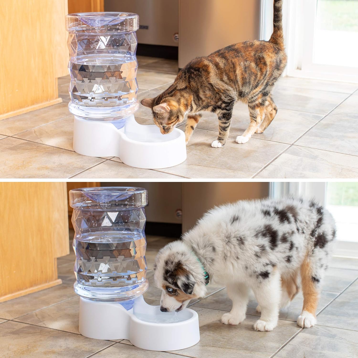 PetFusion H2O Gravity Pet Water Dispenser. Durable 2.5 Gallon Waterer Feeder. Automatic Station for Cats & Small, Medium, Large Dogs, Transparent
